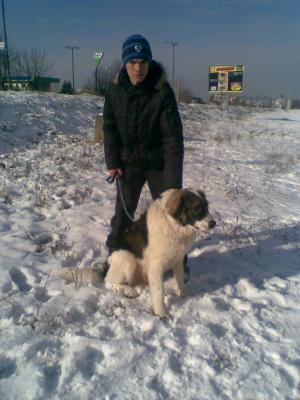 Прикачена снимка