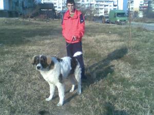 Прикачена снимка