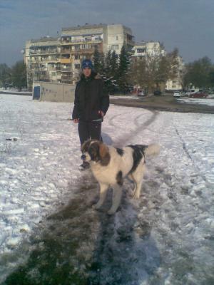 Прикачена снимка