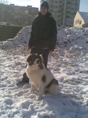 Прикачена снимка