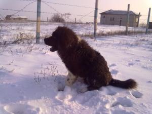 Прикачена снимка