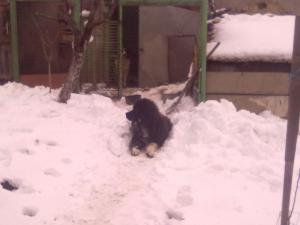 Прикачена снимка