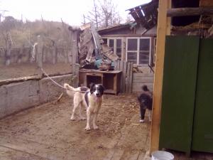 Прикачена снимка