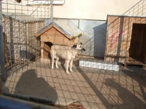 Прикачена снимка