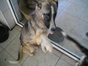 Прикачена снимка