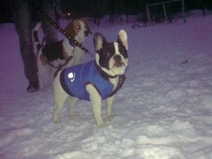 Прикачена снимка