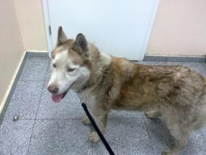 Прикачена снимка