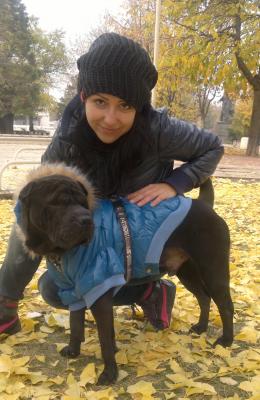 Прикачена снимка