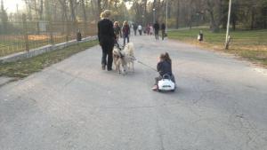 Прикачена снимка