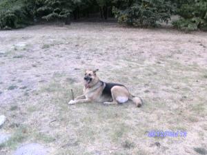 Прикачена снимка
