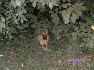 Прикачена снимка