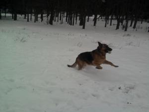 Прикачена снимка