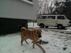 Прикачена снимка
