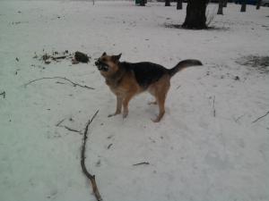 Прикачена снимка