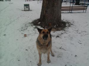 Прикачена снимка