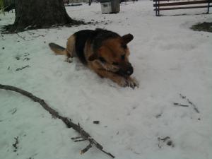 Прикачена снимка