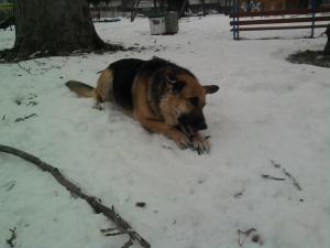 Прикачена снимка
