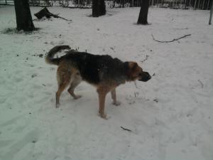 Прикачена снимка