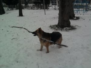 Прикачена снимка