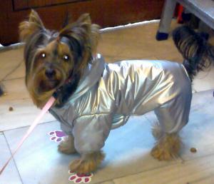 Прикачена снимка