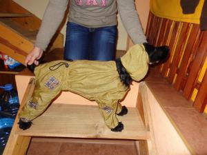 Прикачена снимка