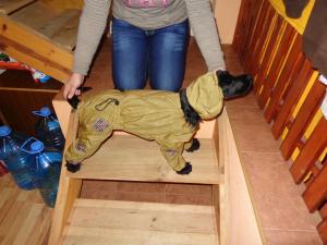 Прикачена снимка