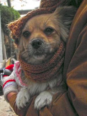 Прикачена снимка