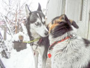 Прикачена снимка