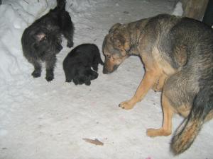 Прикачена снимка