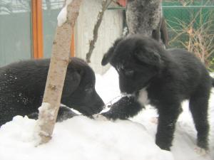 Прикачена снимка