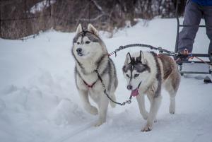 Прикачена снимка