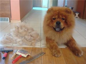 Прикачена снимка