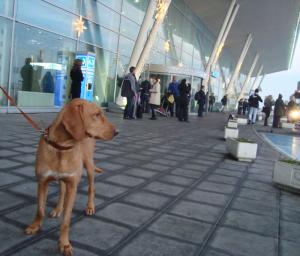 Прикачена снимка