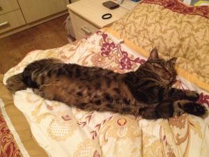 Прикачена снимка
