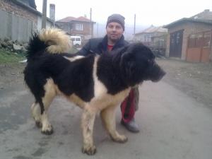 Прикачена снимка