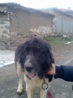 Прикачена снимка