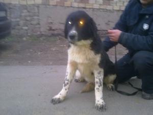 Прикачена снимка