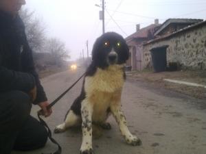 Прикачена снимка