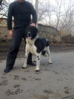 Прикачена снимка