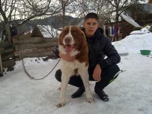 Прикачена снимка