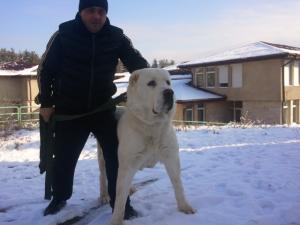 Прикачена снимка