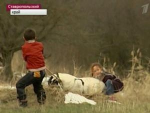 Прикачена снимка