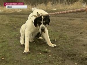 Прикачена снимка