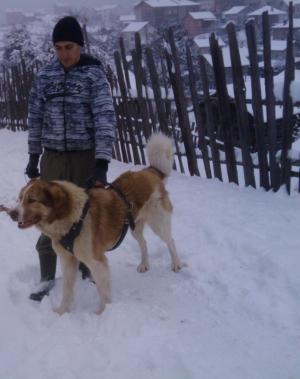 Прикачена снимка