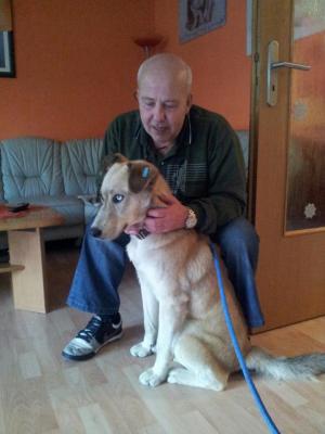Прикачена снимка