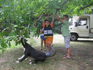 Прикачена снимка