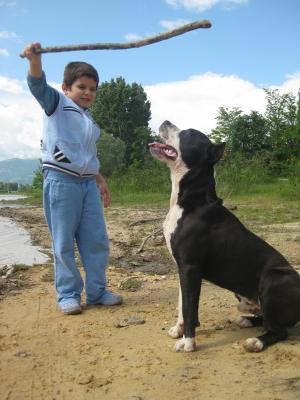 Прикачена снимка