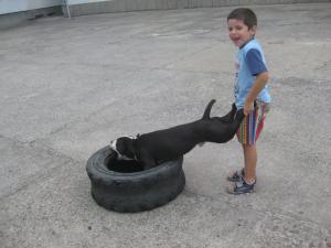 Прикачена снимка