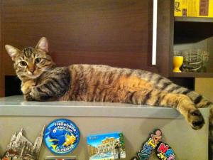 Прикачена снимка