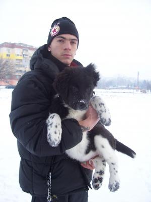 Прикачена снимка